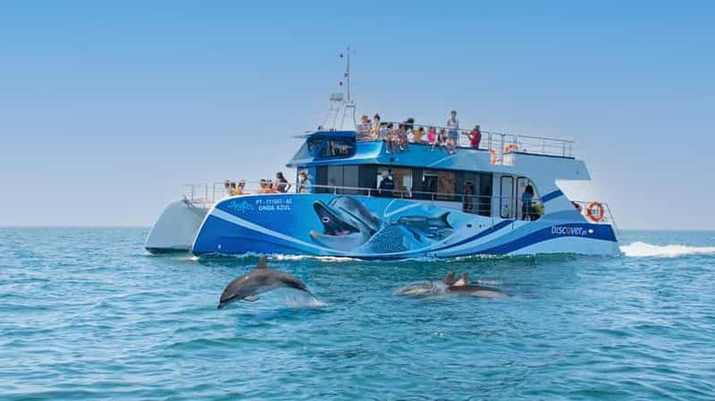 Billet Lagos : Croisière d'une demi-journée pour observer les dauphins et activités nautiques