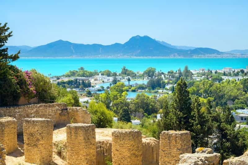 Billet Tunis : Carthage, Bardo, Sidi Bou Said et médina avec déjeuner
