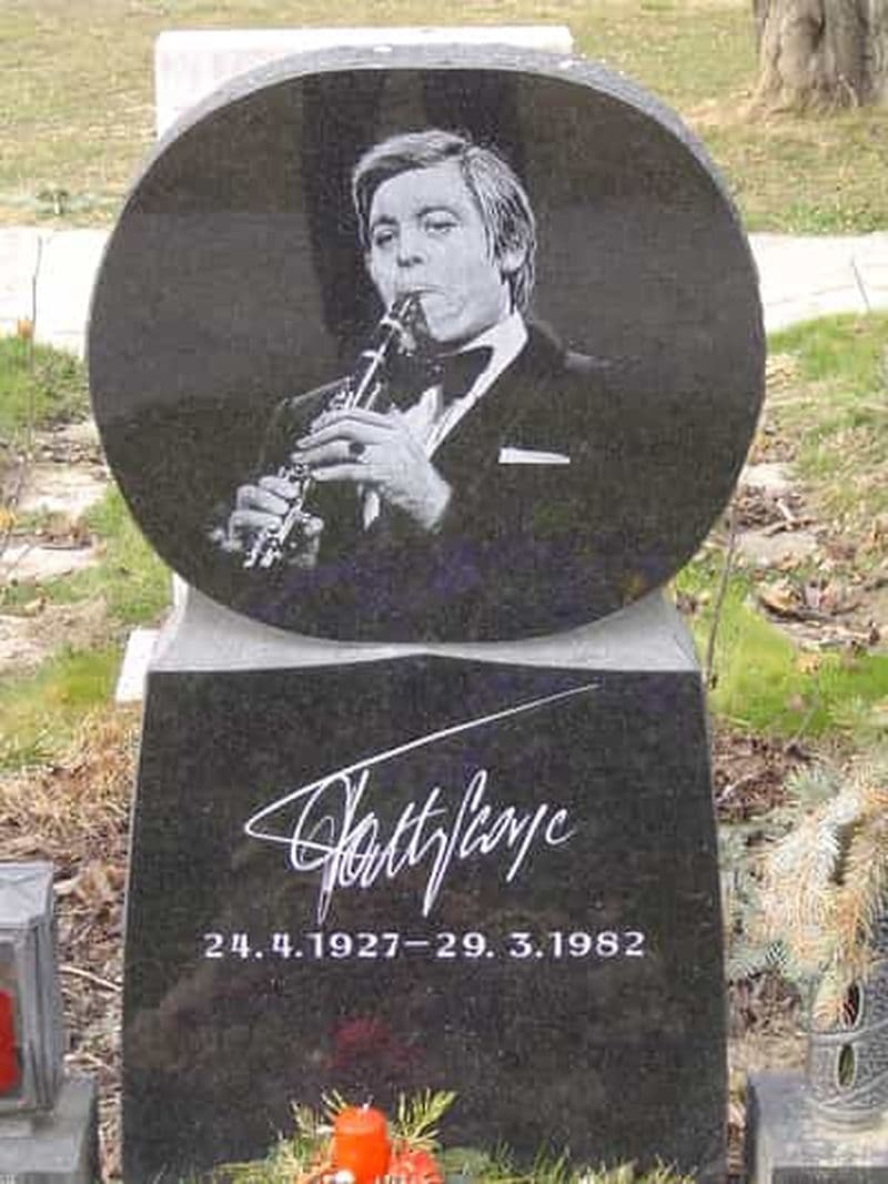 Billet Visite pied à pied de 3 heures du cimetière central de Vienne