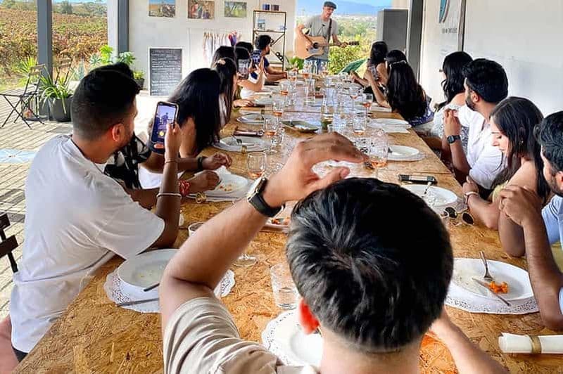 Billet Lagos/Praia da Luz : Visite des vignobles, dégustations, tapas et musique