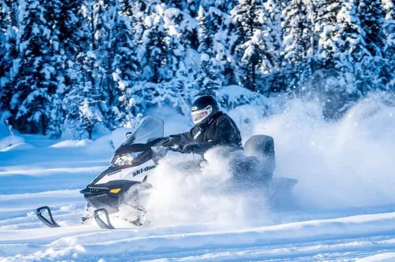 Billet Pôle Nord Alaska : Circuit guidé en motoneige à Fairbanks