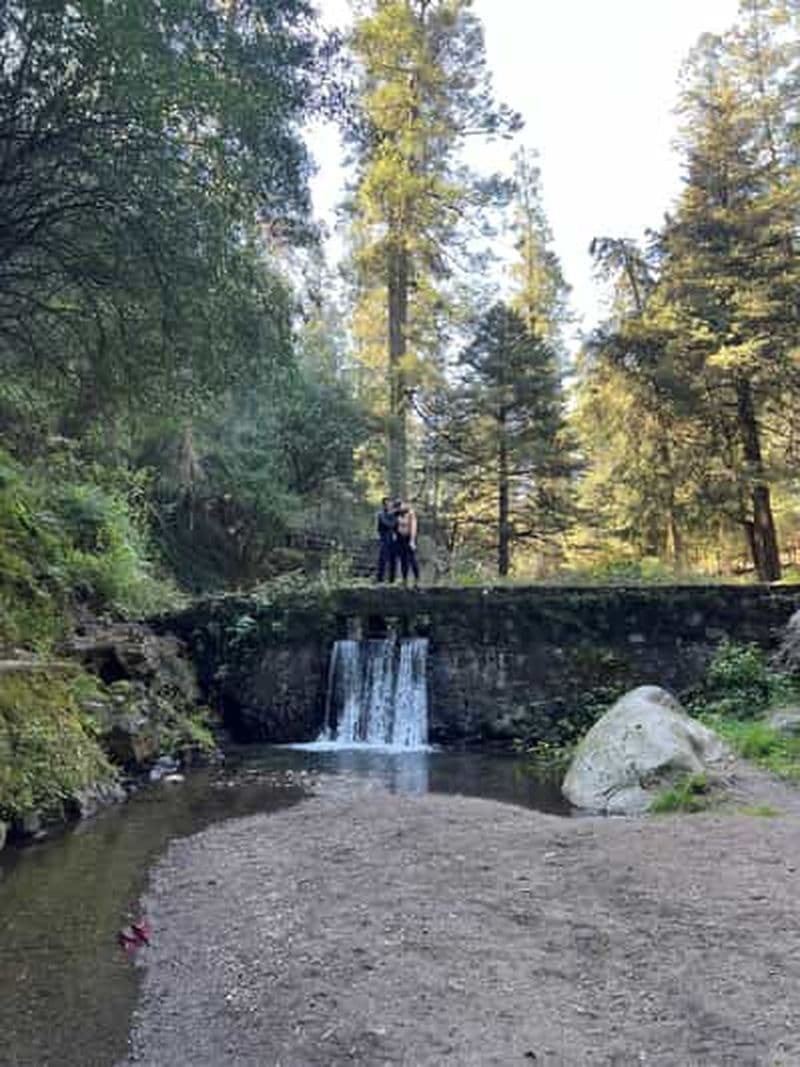 Billet Mexico : Randonnée au Desierto de los Leones