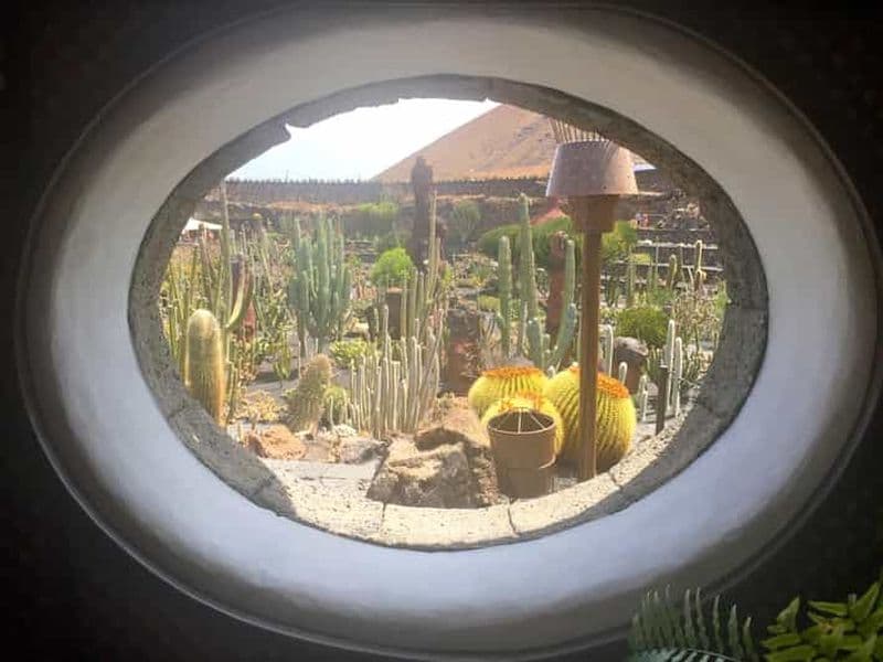 Billet Teguise Vip Tour Minibus : Marché aux puces, LagOmar, Jardin de Cactus, Fondation