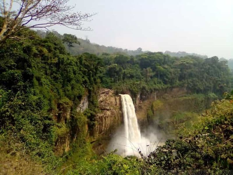 Billet Cameroun : site écotouristique d'Ebogo