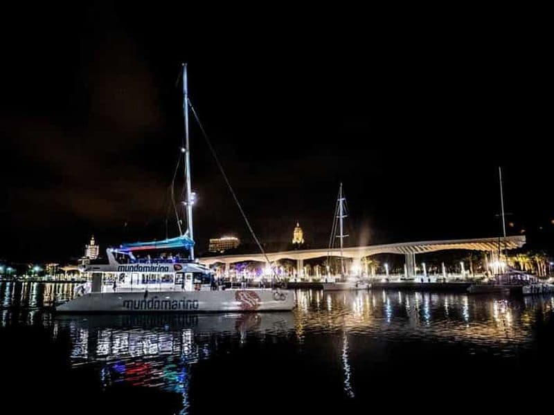 Billet Malaga : excursion nocturne en catamaran pour observer la mer d'étoiles