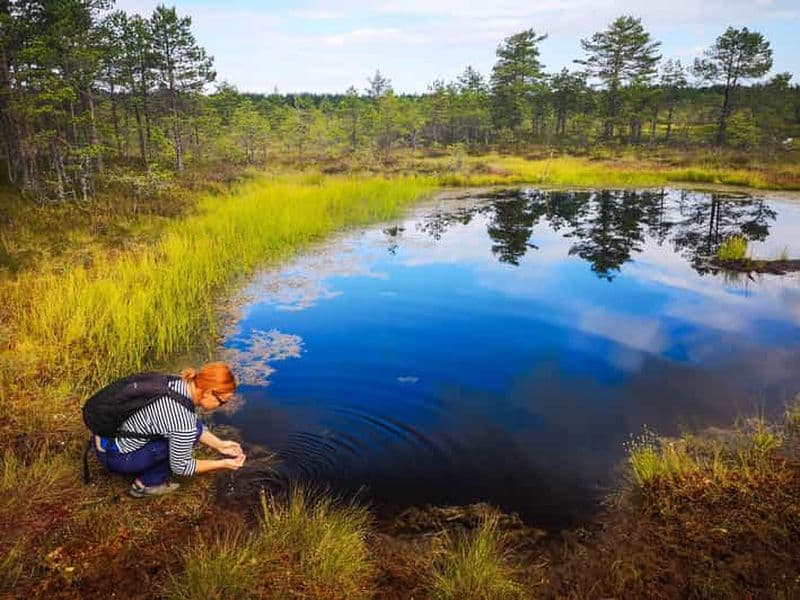 Billet Au départ de Tallinn : excursion au parc national de Lahemaa