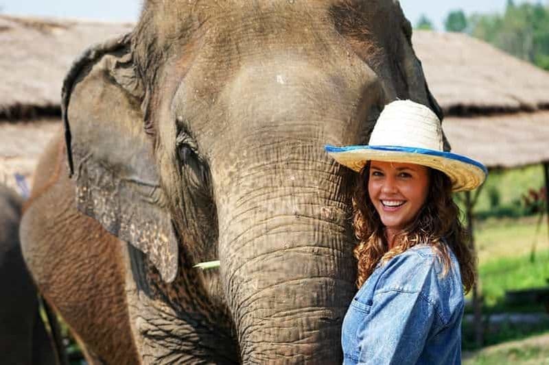 Billet Chiang Mai : visite éthique en petit groupe du sanctuaire des éléphants