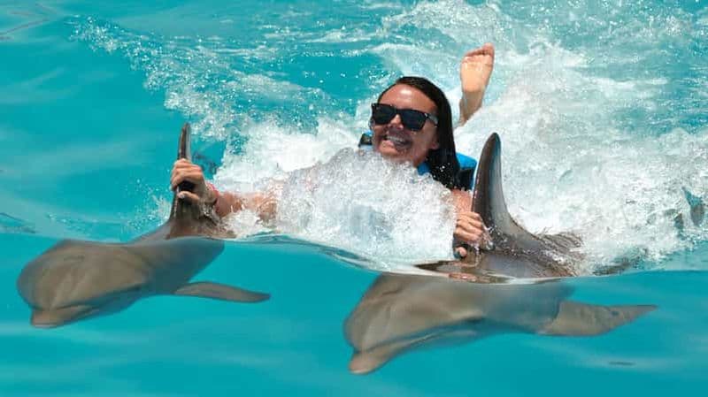 Billet Punta Cana : Nage avec les dauphins et rencontres avec transport