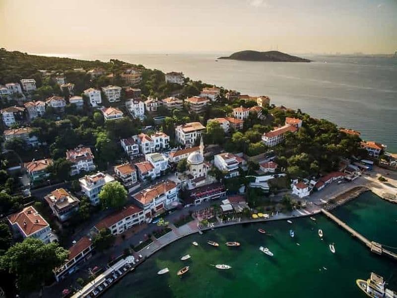 Billet Au départ d'Istanbul : excursion guidée d'une journée dans les îles des Princes en ferry