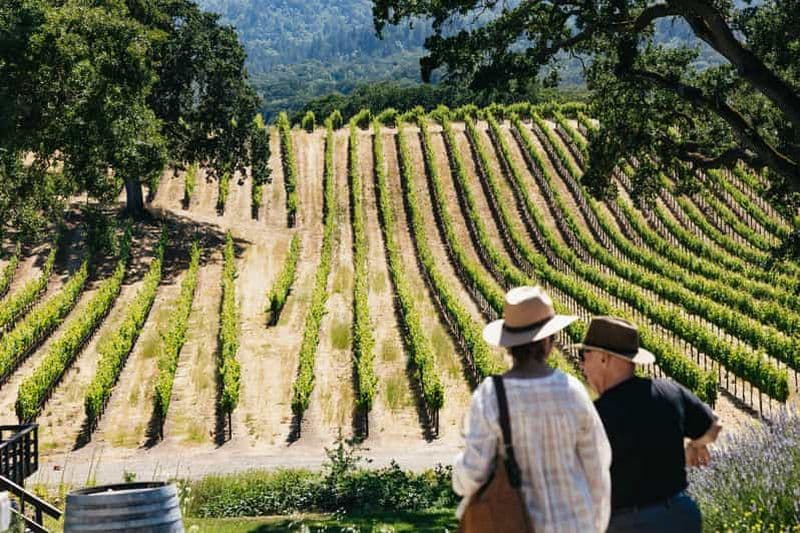 Billet San Francisco : visite des vignobles de Napa et de la vallée de Sonoma