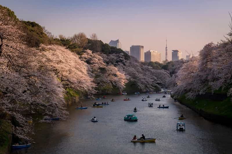 Billet Tokyo : Masterclass de photographie - Cours de photographie privé