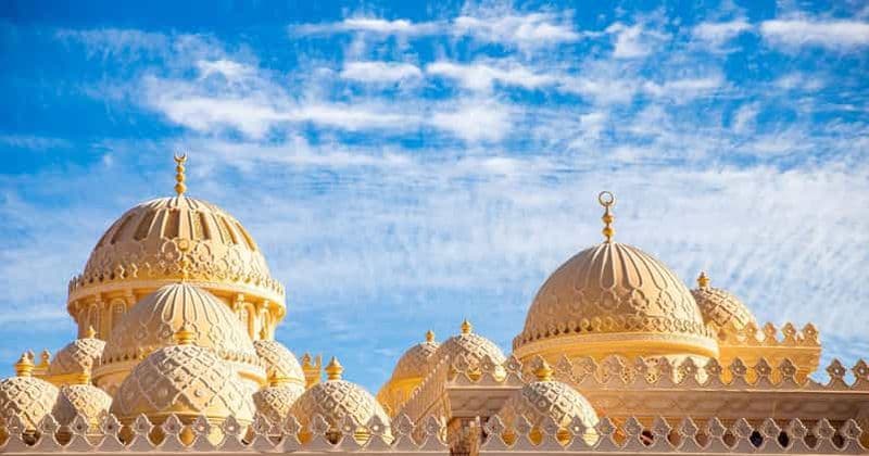 Billet Au départ d'El Gouna : visite de la ville d'Hurghada et du musée national