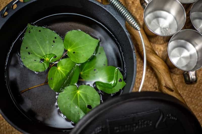 Billet Visite guidée à pied « Whirinaki Forest Footsteps