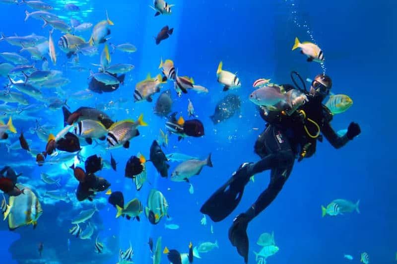 Billet Hurghada : Excursion sur l'île d'Orange avec déjeuner, plongée et parachute ascensionnel
