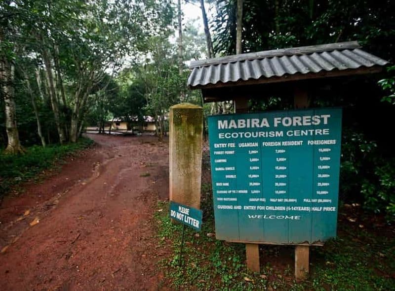 Billet Jinja : excursion d'une journée et visite de la source du Nil