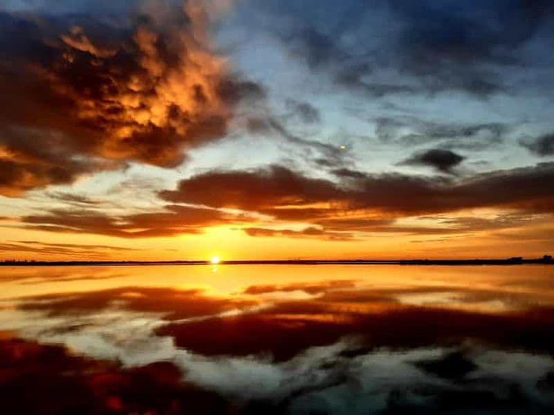 Billet Le Grau du Roi : visite d'une demi-journée en Camargue