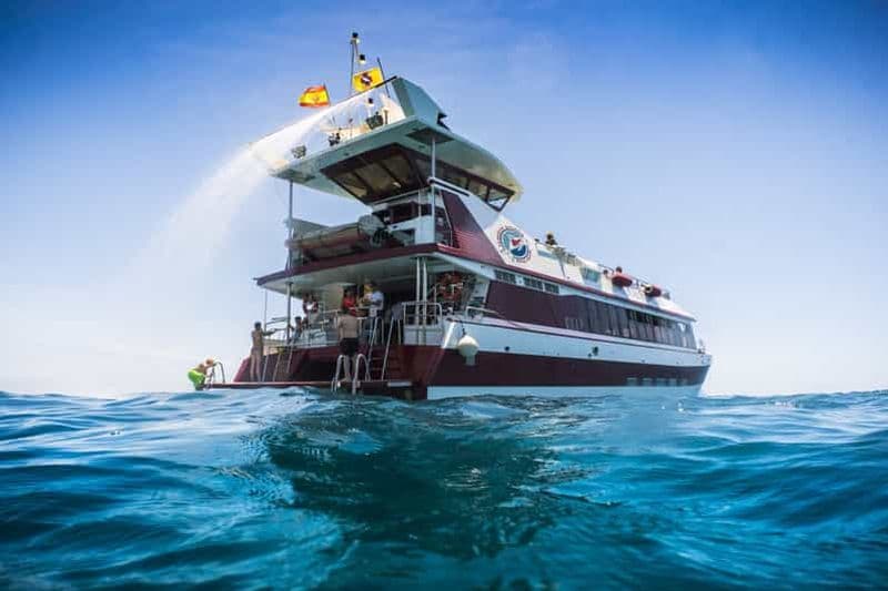 Billet Adeje : Croisière d'observation des baleines et des dauphins avec déjeuner et baignade.