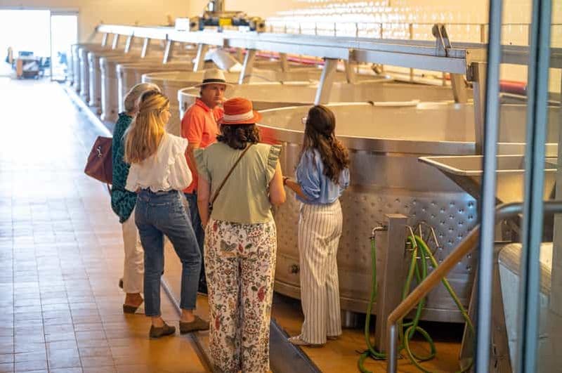 Billet Herdade da Comporta Tailormade Winetasting (dégustation de vins sur mesure)