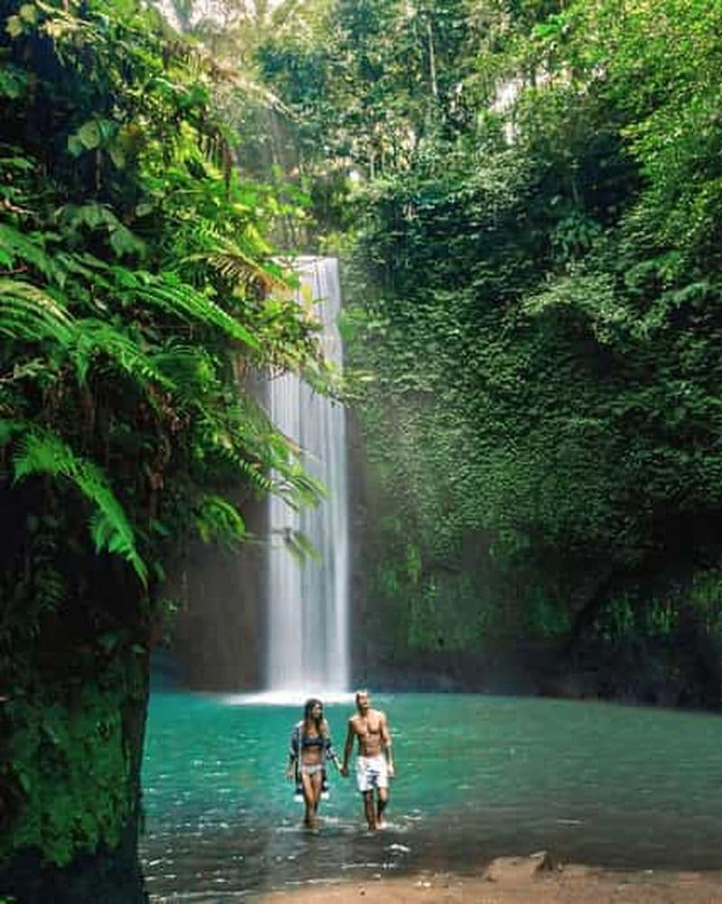 Billet Ubud : visite privée des cascades et des rizières en terrasses
