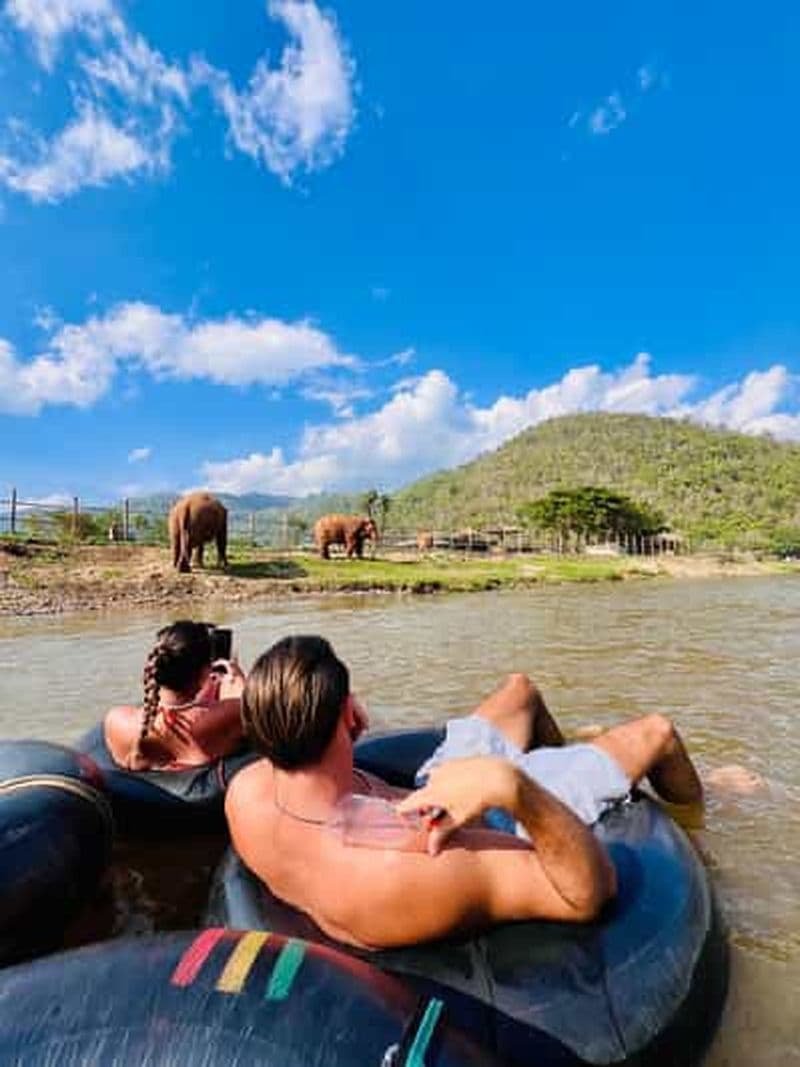Billet Aventure d'une demi-journée à Chiang Mai : tubing et repas des éléphants