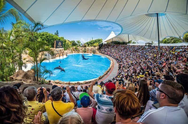 Billet Tenerife : billet d'entrée au Loro Parque