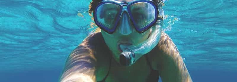 Billet Roseau : Excursion en bateau pour la plongée en apnée sur le volcan Waitukubuli