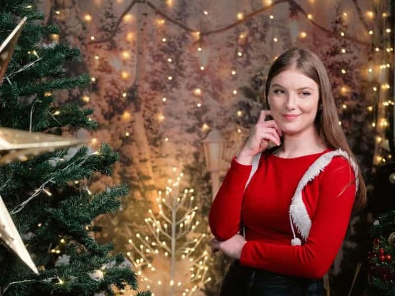 Billet Visite à pied à la découverte de Noël à Miami