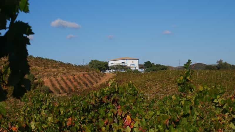 Billet Albufeira, Olhão, Faro : Visite d'un vignoble, Temps libre à Silves