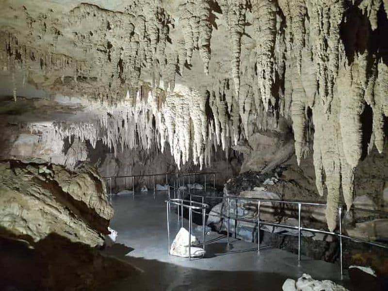 Billet TrioDEAL : Grotte de vers luisants, oiseau kiwi et chutes de Whangarei
