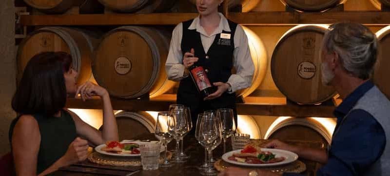 Billet Grande dégustation du Chianti : vins, huiles et vinaigres balsamiques dans la cave