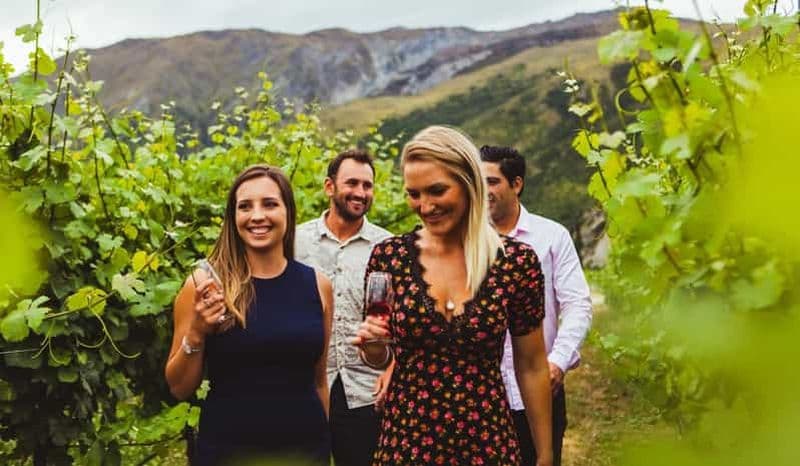 Billet Queenstown : Dégustation de vins