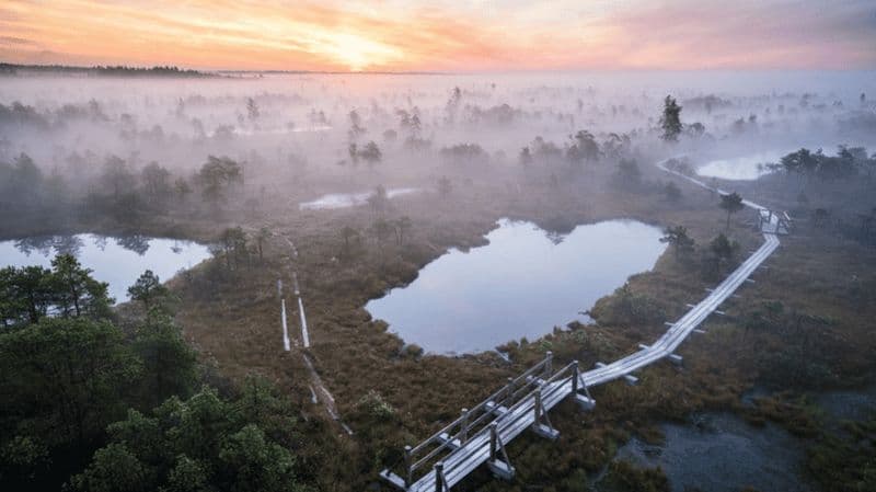 Billet Depuis Riga : Jurmala, Kemeri et mer Baltique
