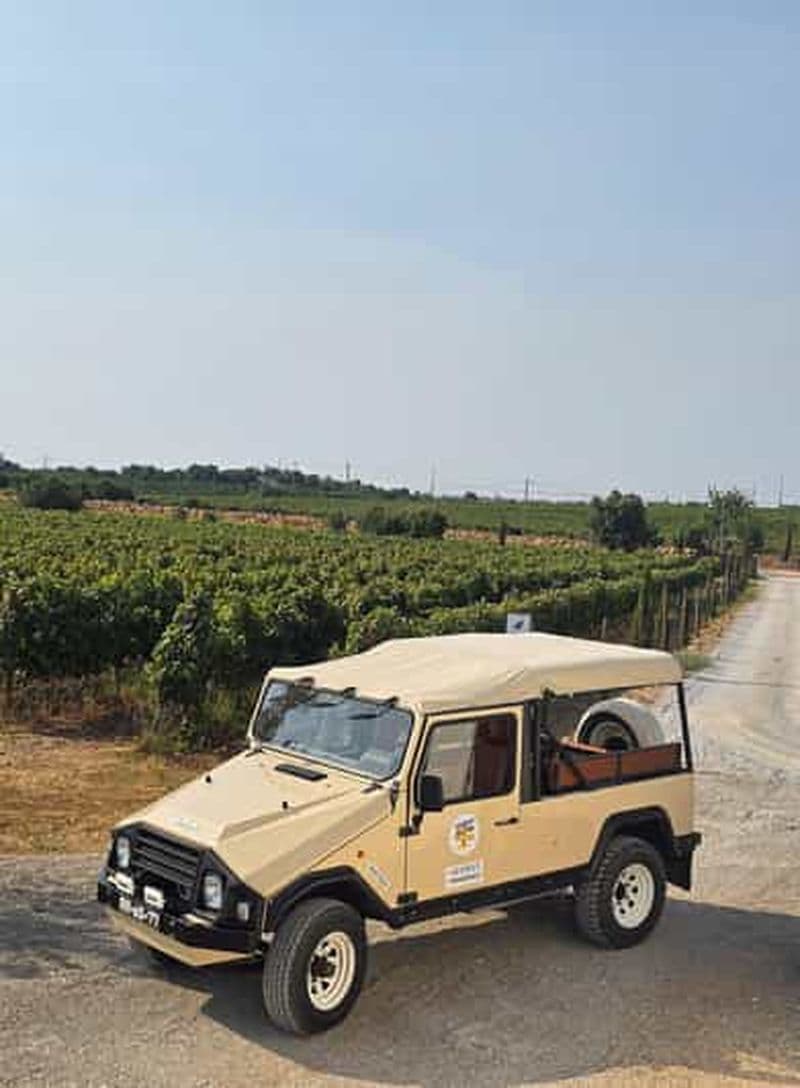 Billet Tavira, Santa Luzia et dégustation de vins