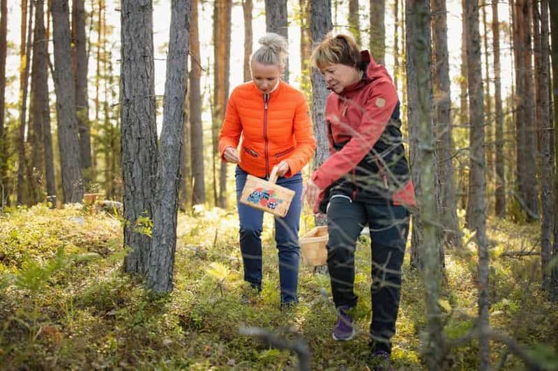 Billet Lahti : excursion de cueillette de plantes sauvages comestibles avec dégustations