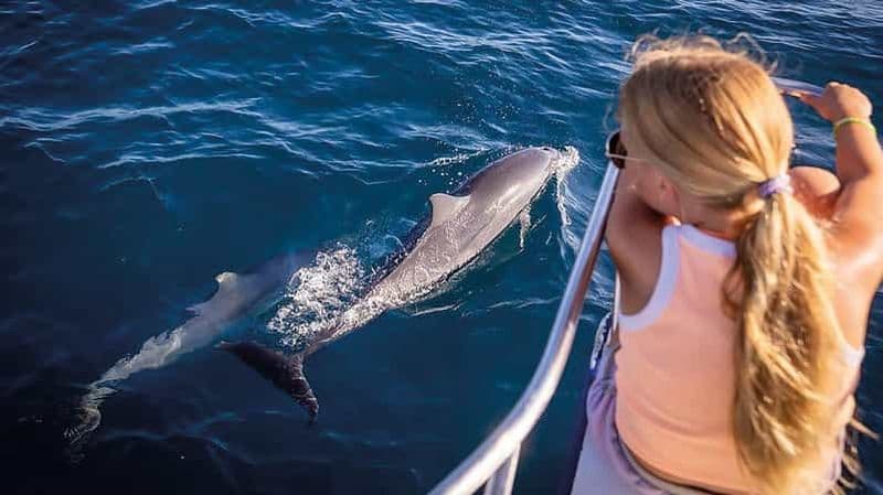 Billet Lovina : Observation des dauphins, baignade et plongée en apnée