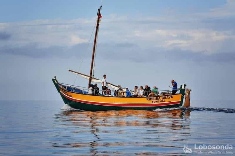 Billet Excursion d'observation de baleines à bord du Lobosonda « Ribeira Brava »