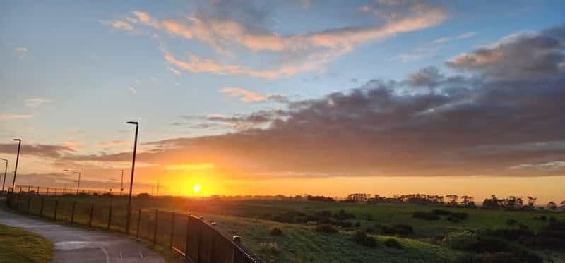 Billet Auckland : Auckland City Tour 4 heures privées