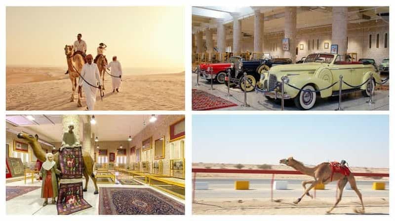 Billet Excursion combinée privée au musée Sheikh Faisal et aux courses de chameaux