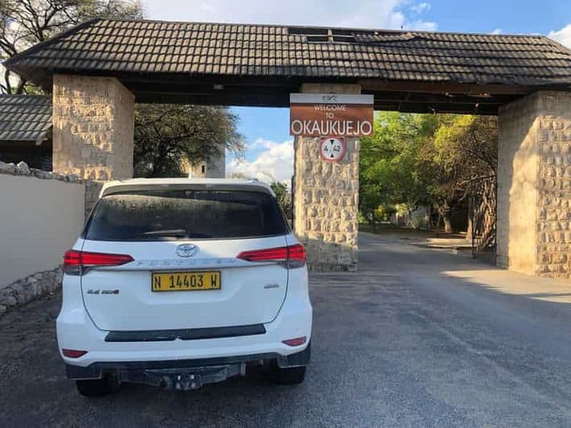 Billet Au départ de Windhoek : Safari de 3 jours dans le parc national d'Etosha