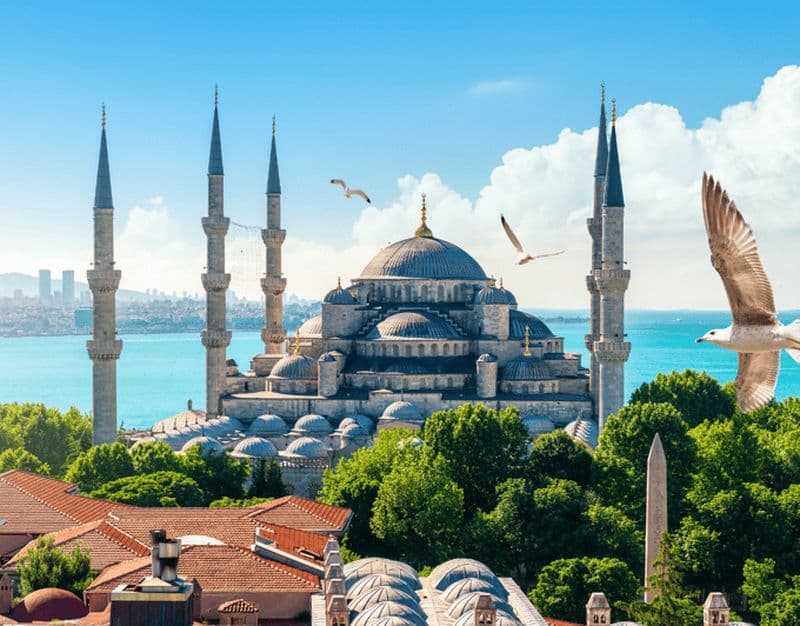 Billet Istanbul : visite privée des temps forts de la ville avec Fener et Balat