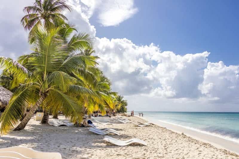 Billet Au départ de Punta Cana : Croisière en catamaran vers l'île de Saona avec déjeuner