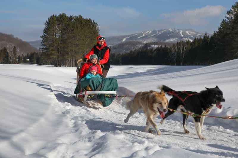 Billet Mont-Tremblant : visite guidée en traîneau à chiens avec chocolat chaud