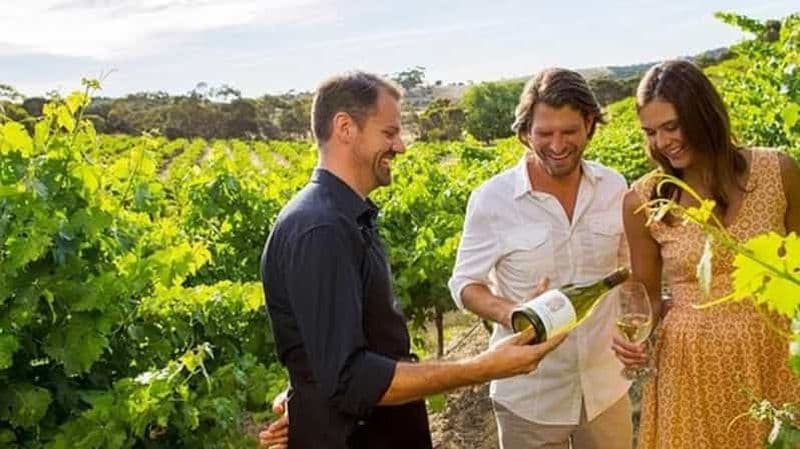 Billet Ontario : Après-midi de visite des vignobles et de dégustation de fromages