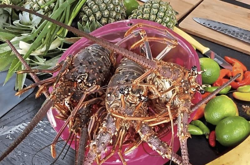 Billet Deshaies : Cours de cuisine sur le homard grillé avec plateau-repas