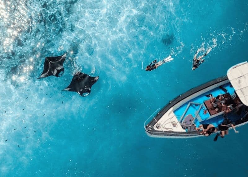 Billet Nusa Penida : Visite d'une jounée avec plongée en apnée à Manta Point