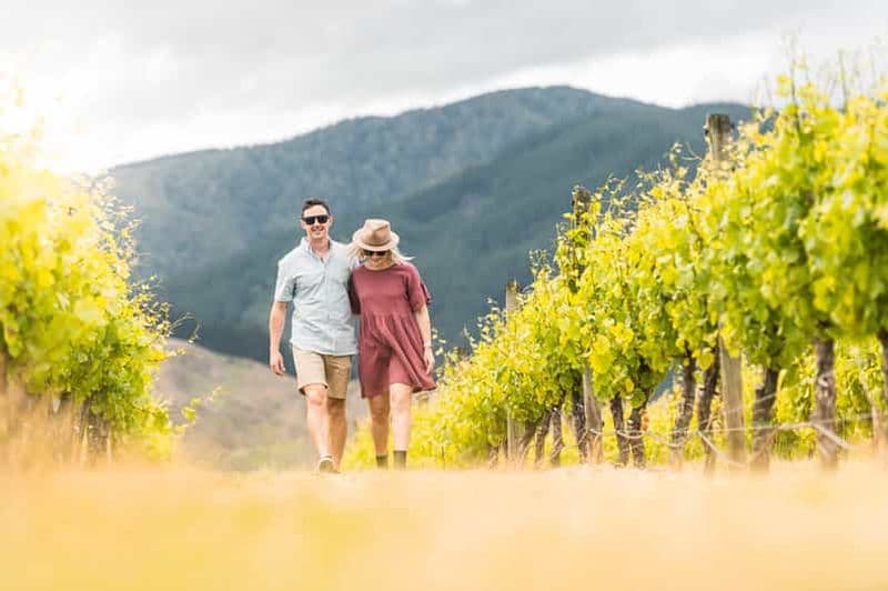 Billet Marlborough : Visite de vignobles et dégustation