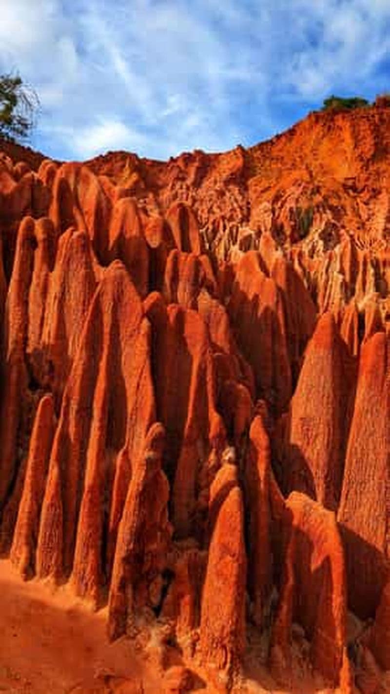 Billet Visite des Tsingy rouge : excursions pour bateau de croisière à Antsiranana
