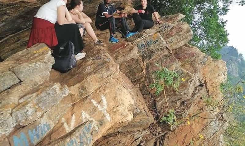 Billet Excursion d'une journée à la forêt tropicale de Magamba et à la vue d'Irente - Ville de Tanga