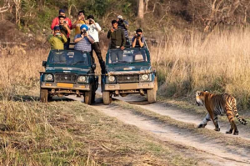 Billet Delhi : Visite du parc national de Sariska le même jour avec safari tigre