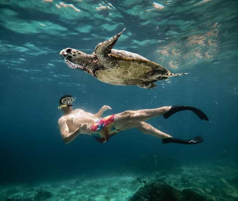 Billet Depuis Gili Air : Plongée en apnée avec les tortues et la statue sous-marine